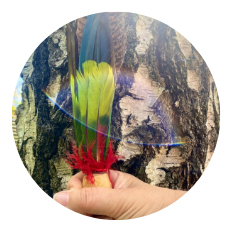 Guérir la Relation avec les Ancêtres